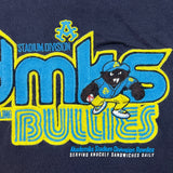 Vintage 2003 Akademiks T Shirt Mens XL Blue Stadium Division Hip Hop Tee