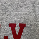 Vintage Y2K Champion Sleeveless Mens Large Gray UNLV Athletics University Tank Top