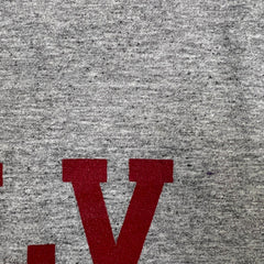 Vintage Y2K Champion Sleeveless Mens Large Gray UNLV Athletics University Tank Top