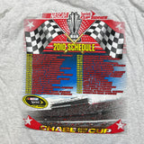 Vintage 2010 Bristol Motor Speedway T Shirt Mens Large Gray NASCAR Racing Tee