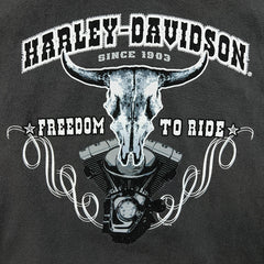 Vintage 2005 Harley Davidson T Shirt Mens XL Gray Freedom To Ride Biker Tee