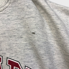 Vintage 90s Harvard University Sweatshirt Mens Large Gray Ivy League Distressed