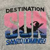 Vintage 80s Destination Sun Santo Domingo T Shirt Mens Large Gray Single Stitched Tee