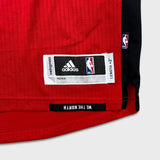 Adidas DeMar DeRozan Toronto Raptors Jersey Mens Large Swingman NBA Basketball