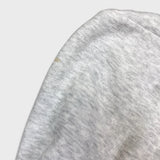 2019 Toronto Raptors NBA Champions Hoodie Mens Large Gray Basketball Hooded Sweater