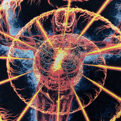 Vintage 2007 Tool T Shirt Mens Medium Black Spiral Flame Graphic Rock Band Tee