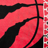 2019 Toronto Raptors Champions T Shirt Men Small Black NBA Basketball Tee