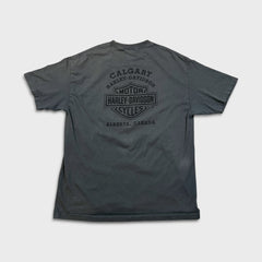 Vintage 2005 Harley Davidson T Shirt Mens XL Gray Freedom To Ride Biker Tee