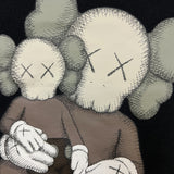 FW23 KAWS x Uniqlo Companion Sweatshirt Mens Large Black Pullover
