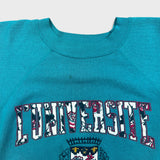 Vintage 80s Universite de Paris Sweatshirt Mens Large Blue USA Collegiate Pullover