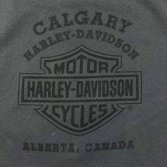 Vintage 2005 Harley Davidson T Shirt Mens XL Gray Freedom To Ride Biker Tee