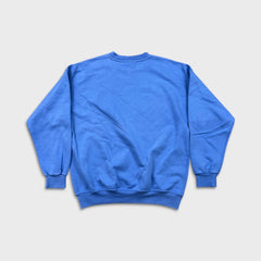 Vintage 90s Northern Reflections Sweatshirt Mens Medium Blue Nature Pullover