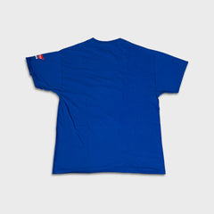 2016 Chicago Cubs T Shirt Mens Large Blue World Champions Baseball MLB Baseball Tee