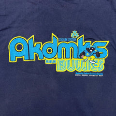 Vintage 2003 Akademiks T Shirt Mens XL Blue Stadium Division Hip Hop Tee