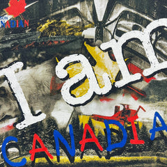 Vintage 90s Bulletin Molson Canadian Beer T Shirt Mens Large Black Faded Tee